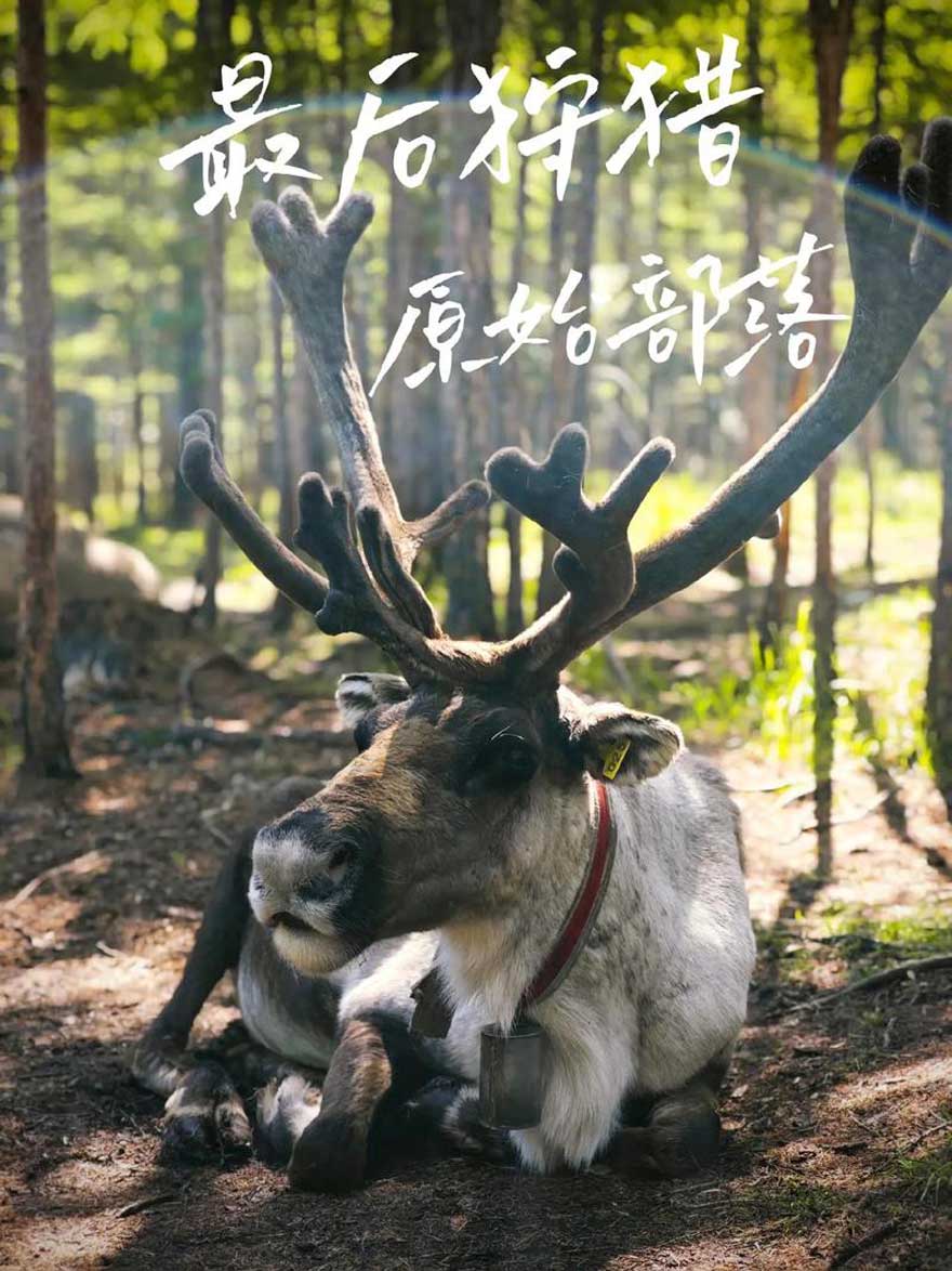 内蒙古旅游景点哪里好玩？十大必去景点攻略+最佳路线推荐..