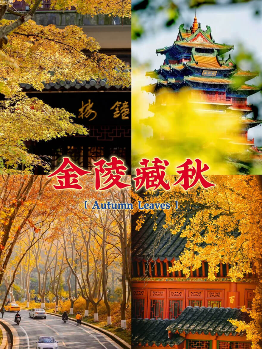 十一月江苏旅游精华：水乡秋色与地道美食全体验-峰峦文旅景区有限公司