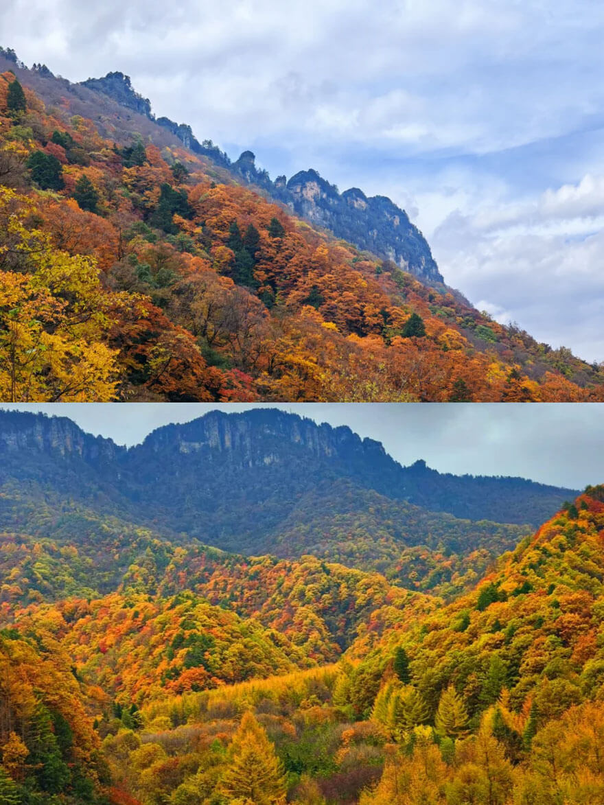 十一月湖北秋游精选：景点推荐与特色美食攻略-峰峦文旅景区有限公司