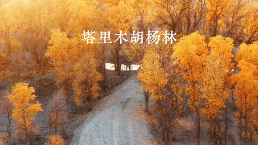 11月新疆旅游好去处推荐：景点美食全攻略-峰峦文旅景区有限公司