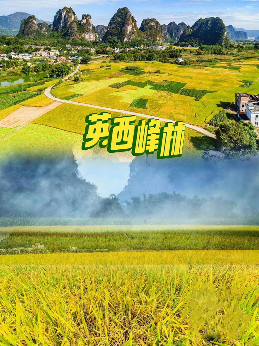 岭南秋色正浓，11月广东旅游最佳目的地推荐-峰峦文旅景区有限公司