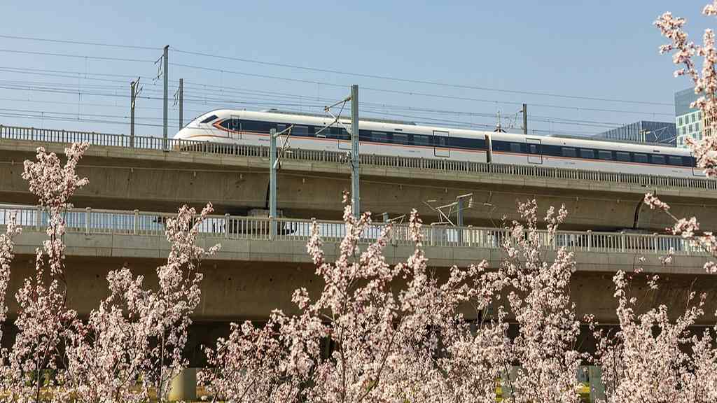 赏花经济崛起千亿级市场，从单一观光到全产业链融合转型-峰峦文旅景区有限公司