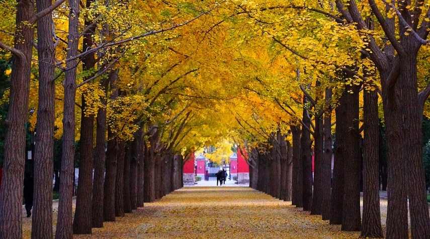 林白水故居寻访：民国报人以笔为剑的传奇人生-峰峦文旅景区有限公司