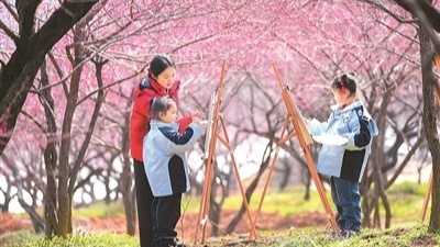 春日中国经济复苏正当时 赏花踏青带动文旅消费热潮-峰峦文旅景区有限公司