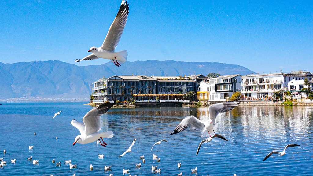 云南旅居人数突破320万 游客接待量超11亿人次助力文旅产业升级-峰峦文旅景区有限公司