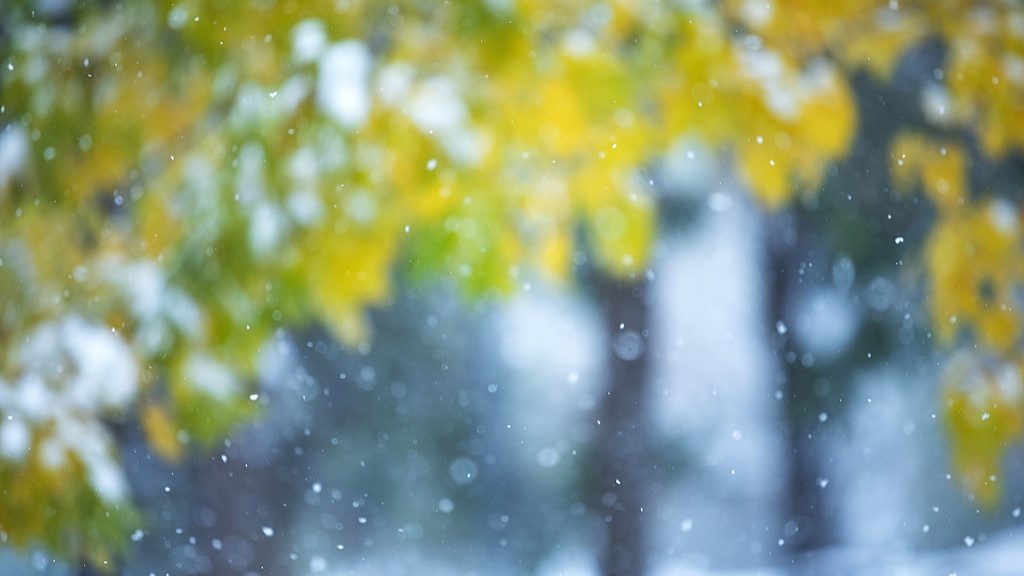 小雪节气的诗意与民俗：古人的冬日雅致生活-峰峦文旅景区有限公司