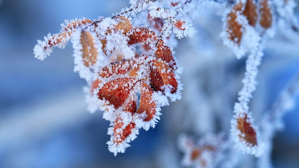 立冬节气的文化内涵与传统习俗探析-峰峦文旅景区有限公司