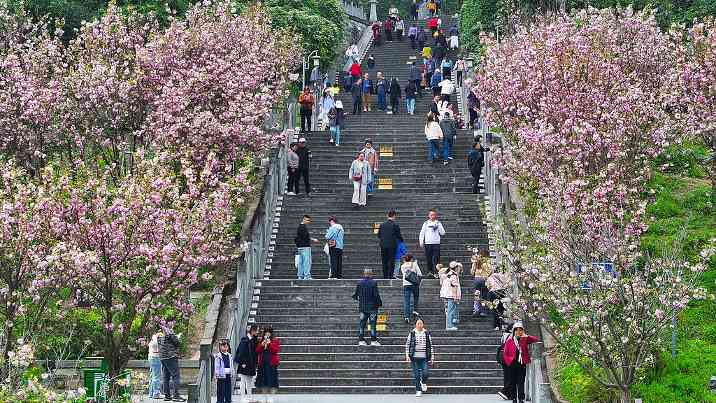 清明假期文旅市场火爆 全国出游1.26亿人次消费575.49亿元-峰峦文旅景区有限公司