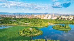 体育赛事成旅游新引擎 菜市场变身文旅新地标-峰峦文旅景区有限公司