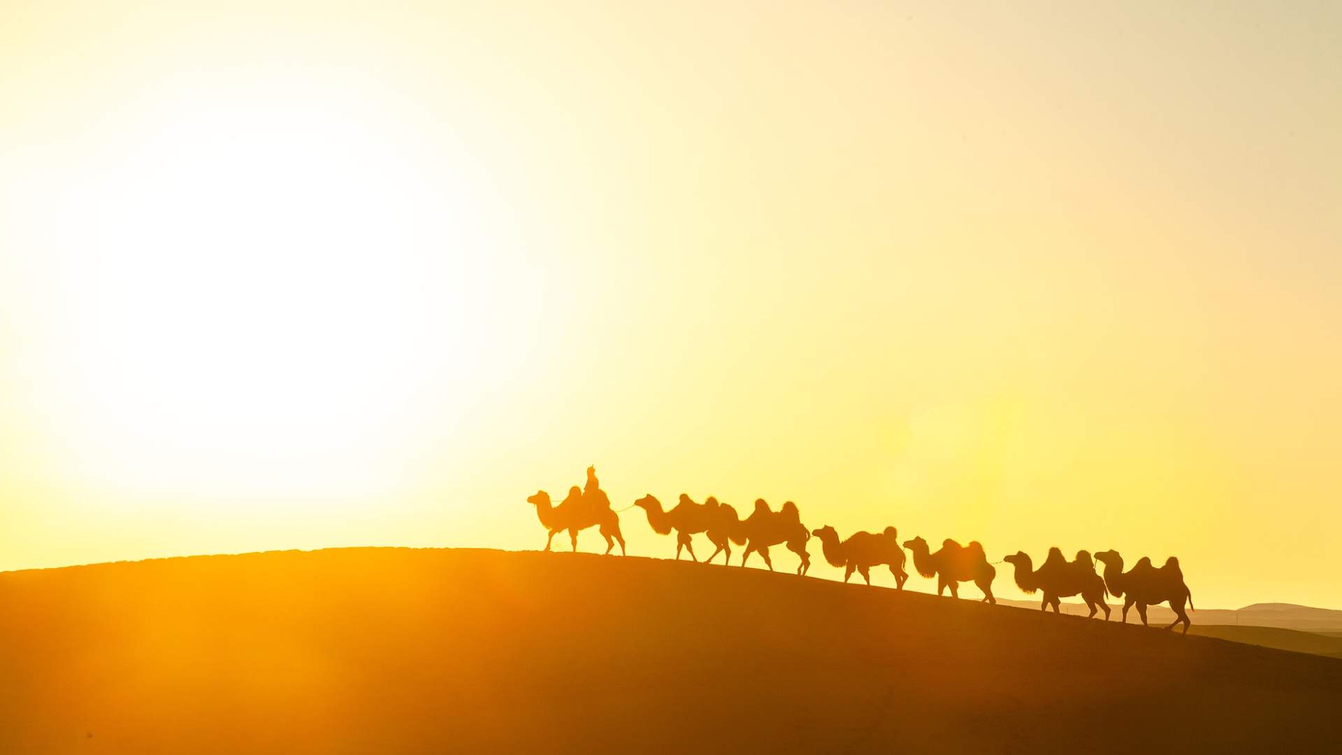 丝路联通世界 文旅合作共赢