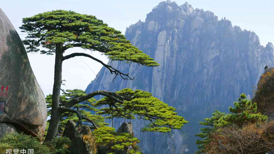文旅部暗访发现景区安全风险 隐患频发需整改-峰峦文旅景区有限公司