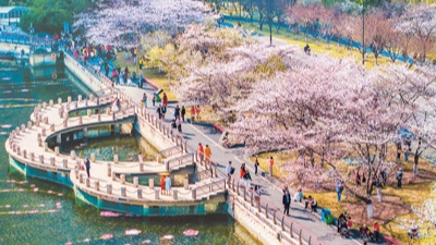 春日经济：赏花游如何激活文旅市场活力？-峰峦文旅景区有限公司