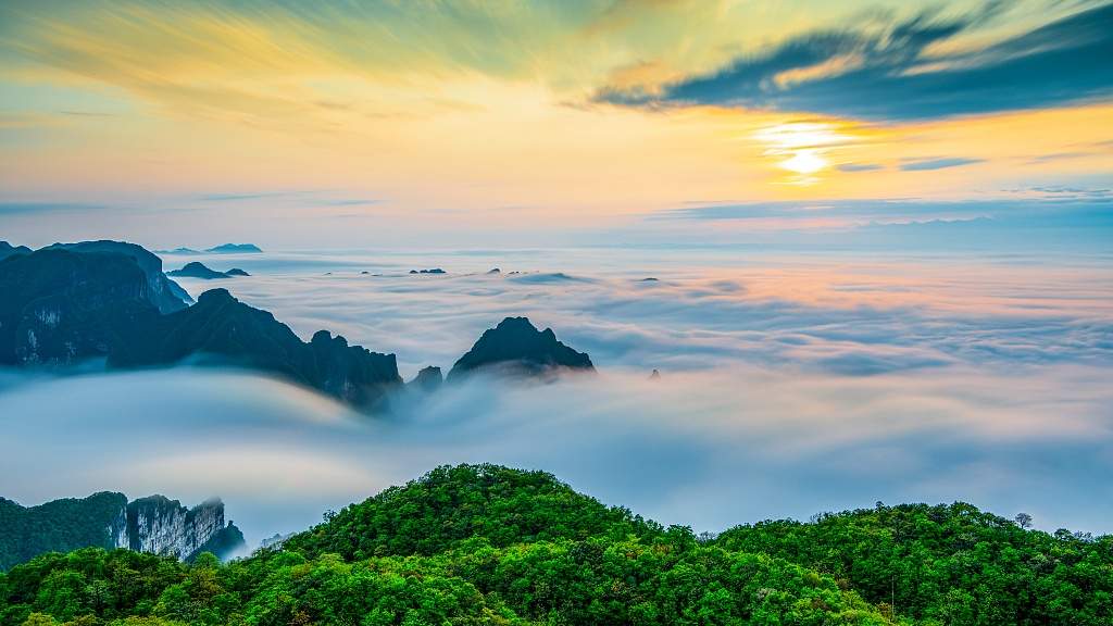 湖南张家界、绍兴覆卮山成避暑热门 花海与清凉之旅受追捧-峰峦文旅景区有限公司