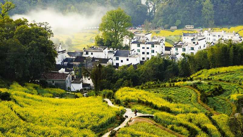 新玩法开启乡村游，乡土味与慢生活共促消费提升-峰峦文旅景区有限公司