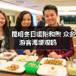 昆明冬日暖阳和煦 众多游客海埂观鸥（图2）