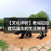 【文化评析】老城街旧建筑蕴含的生活智慧（图4）