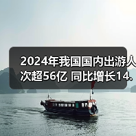 2024年我国国内出游人次超56亿 同比增长14.8%（图3）