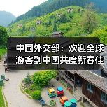 中国外交部：欢迎全球游客到中国共度新春佳节（图3）