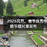 2025元旦、春节优秀电视节目片单发布（图2）