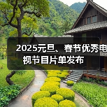 2025元旦、春节优秀电视节目片单发布（图4）