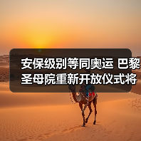 安保级别等同奥运 巴黎圣母院重新开放仪式将启(图3) 安保级别等同奥运 巴黎圣母院重新开放仪式将启(图3)