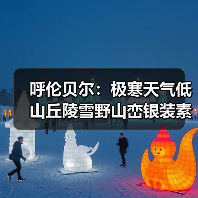 呼伦贝尔：极寒天气低山丘陵雪野山峦银装素裹（图4）