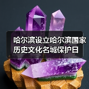 哈尔滨设立哈尔滨国家历史文化名城保护日（图3）