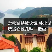 赏秋游持续火爆 外出游玩当心这几种“毒虫”(图2) 赏秋游持续火爆 外出游玩当心这几种“毒虫”(图2)