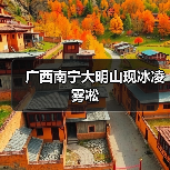 南宁大明山景区寒潮造就冰凌雾凇奇观 民众赏雪乐享冬日旅游体验