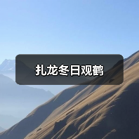 黑龙江扎龙自然保护区冬季丹顶鹤冰上舞姿引游客驻足-峰峦文旅景