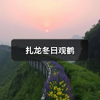 扎龙冬日观鹤（图2）
