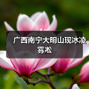 广西南宁大明山现冰凌雾凇（图4）