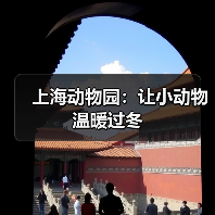 动物园动物过冬措施 海洋馆暖冬生活解决方案-峰峦文旅景区有限公司