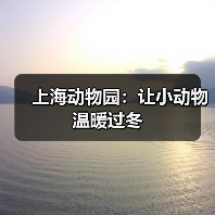 上海动物园：让小动物温暖过冬（图2）