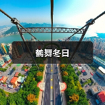 鹤舞冬日(图4) 鹤舞冬日(图4)