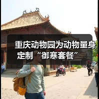 重庆动物园冬季保暖措施温控设备与科学饲养应对严寒挑战-峰峦文旅景区有限公司