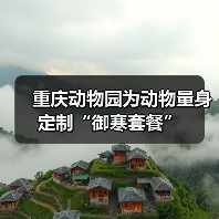 重庆动物园为动物量身定制“御寒套餐”（图2）