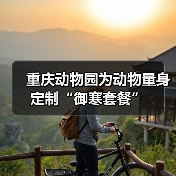 重庆动物园为动物量身定制“御寒套餐”（图3）