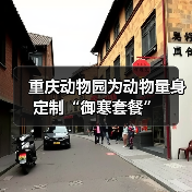 重庆动物园为动物量身定制“御寒套餐”（图4）