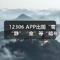12306 APP出现“雪”“静”“宠”等“暗号”（图2）