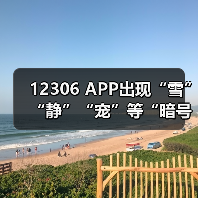 12306 APP出现“雪”“静”“宠”等“暗号”（图4）