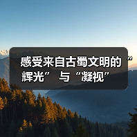感受来自古蜀文明的“辉光” 与“凝视”（图4）