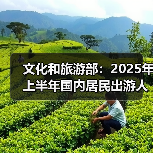 2025上半年国人出游人次与花费双增长-峰峦文旅景区有限公司