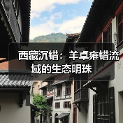 西藏沉错：羊卓雍错流域的生态明珠（图3）