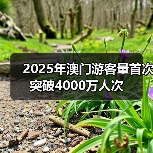 2025年澳门游客量首次突破4000万人次（图3）