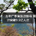 去年广东省旅游接待 预计突破9.5亿人次（图3）