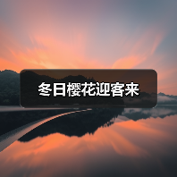 冬日樱花迎客来（图3）