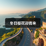 冬日樱花迎客来（图2）
