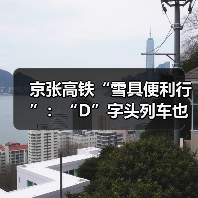 京张高铁“雪具便利行”：“D”字头列车也可享（图3）