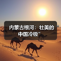 内蒙古根河：壮美的“中国冷极”（图3）